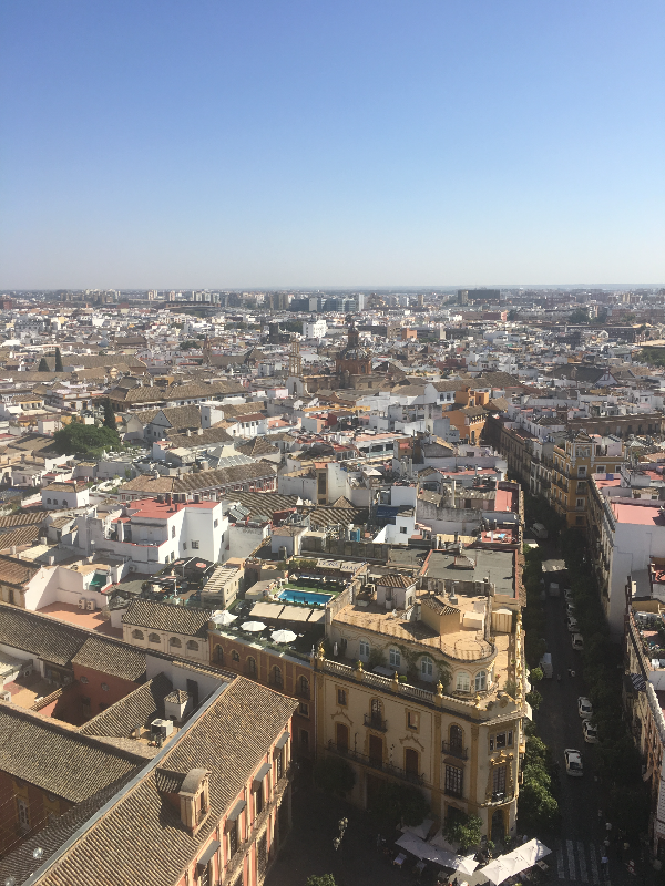 세비야 대성당 (Sevilla Cathedral)