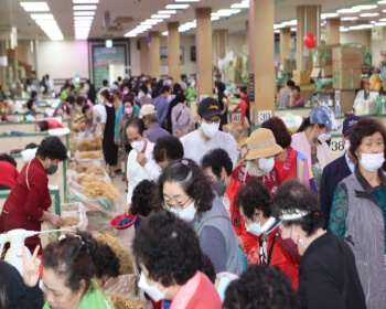 금산인삼축제_14