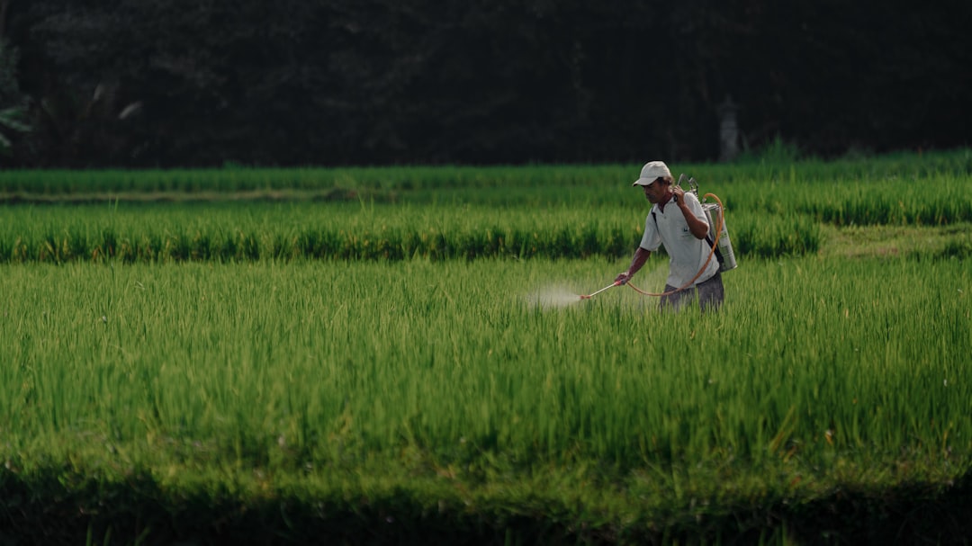 Farming