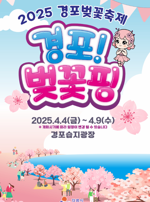 경포 벚꽃 축제