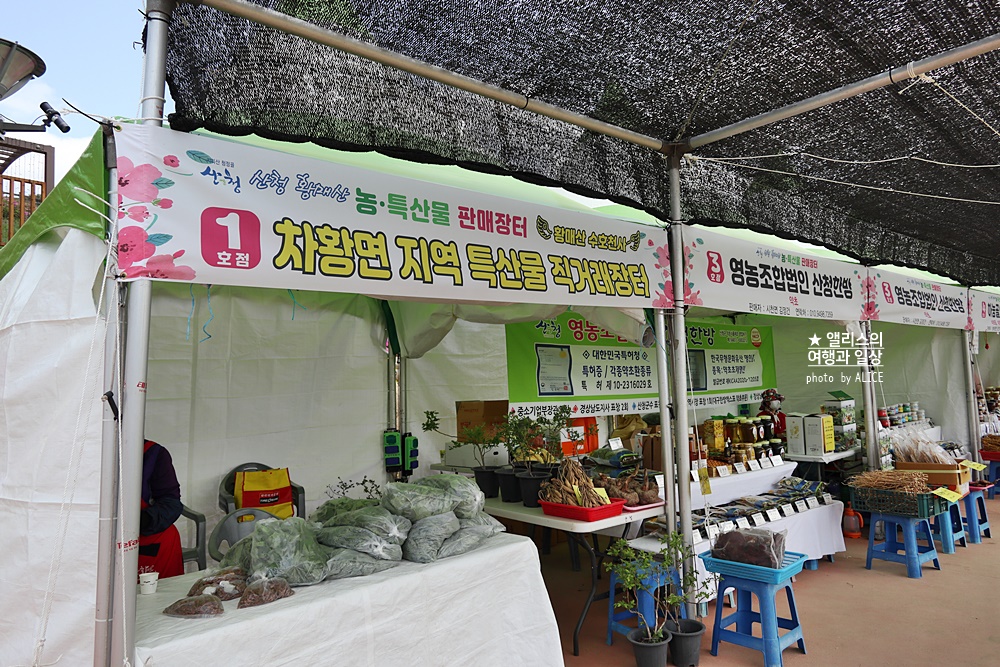 황매산 철쭉 개화시기, 셔틀버스, 산청 합천 5월 가볼만한곳