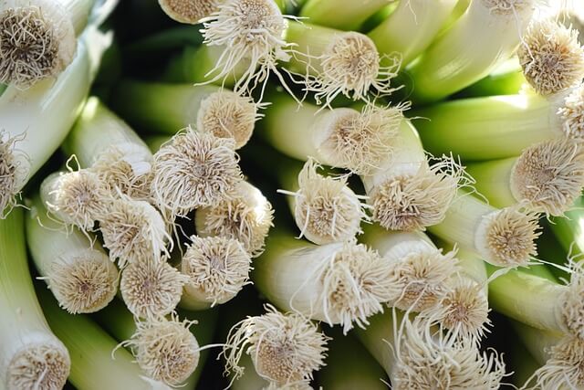 전통 백김치 맛있게 담는법 7단계