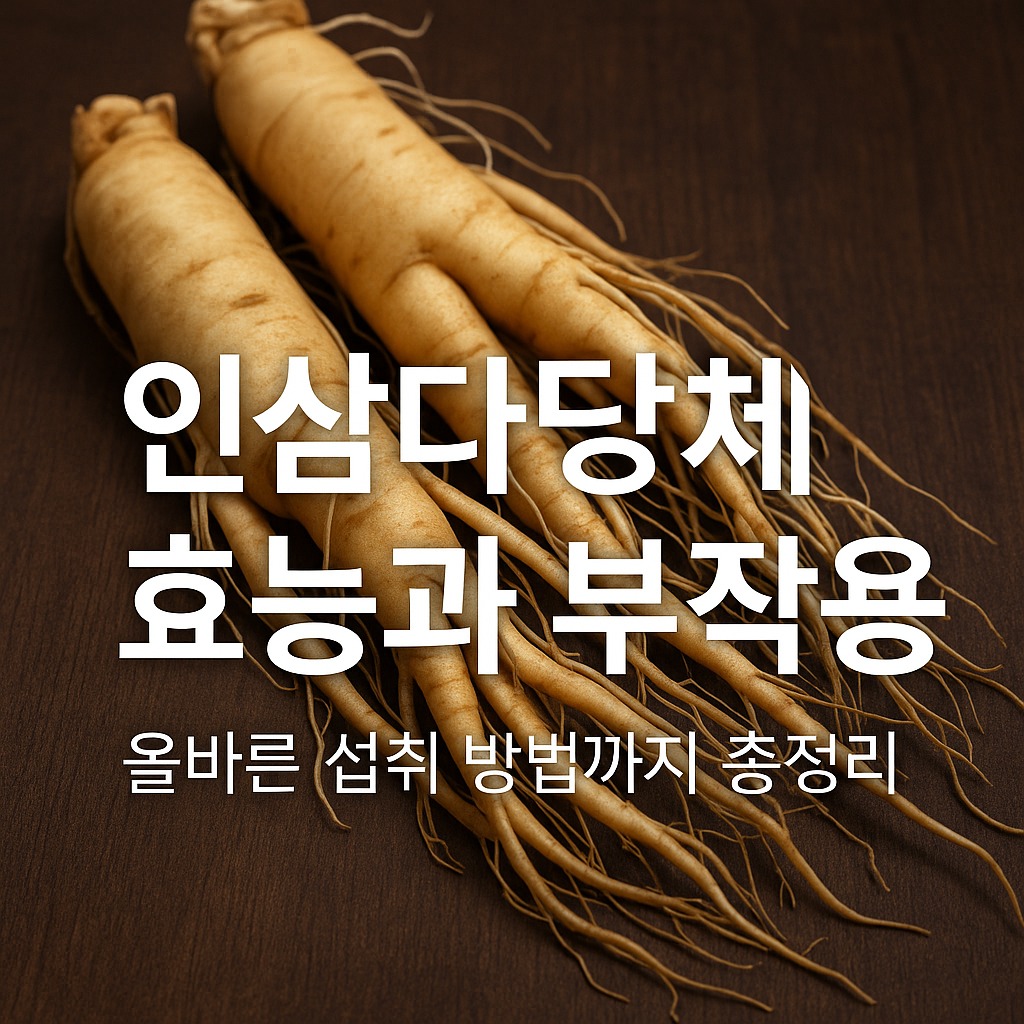 인삼다당체 효능과 부작용, 올바른 섭취 방법까지 총정리