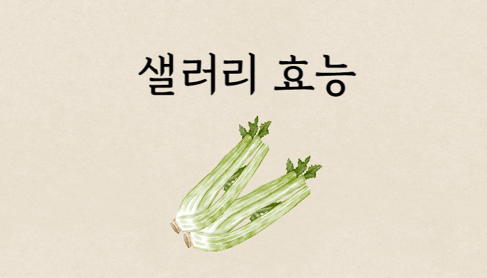 샐러리 효능 썸네일