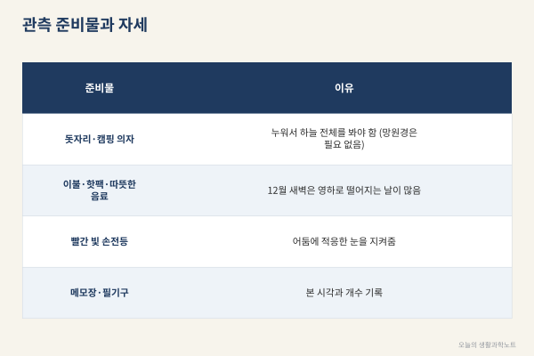 '시간당 100개' 유성우가 10개만 보이는 이유, 12월 쌍둥이자리 유성우 관측 준비법