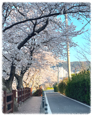 순천 동천 