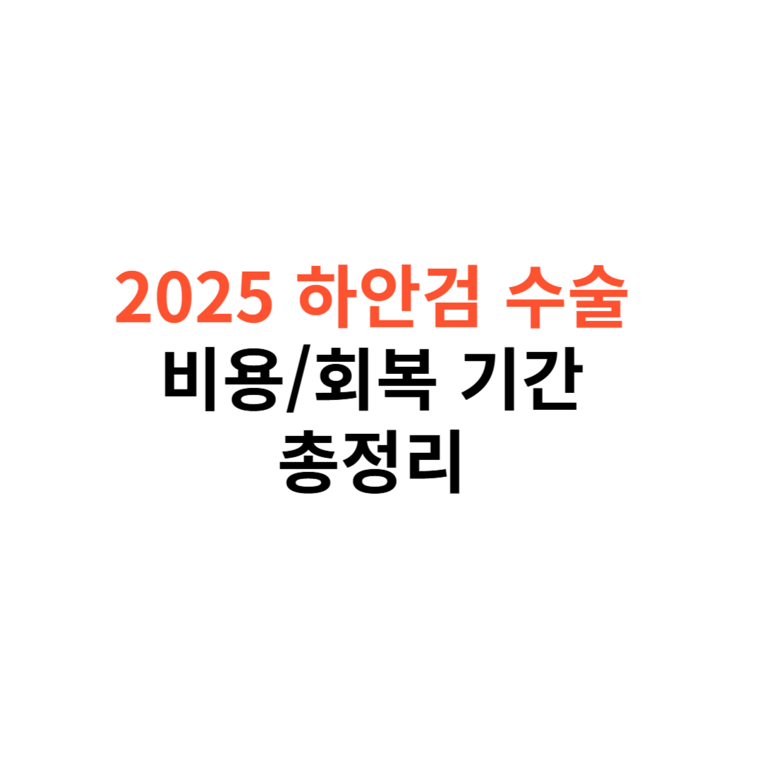 하안검 수술 비용