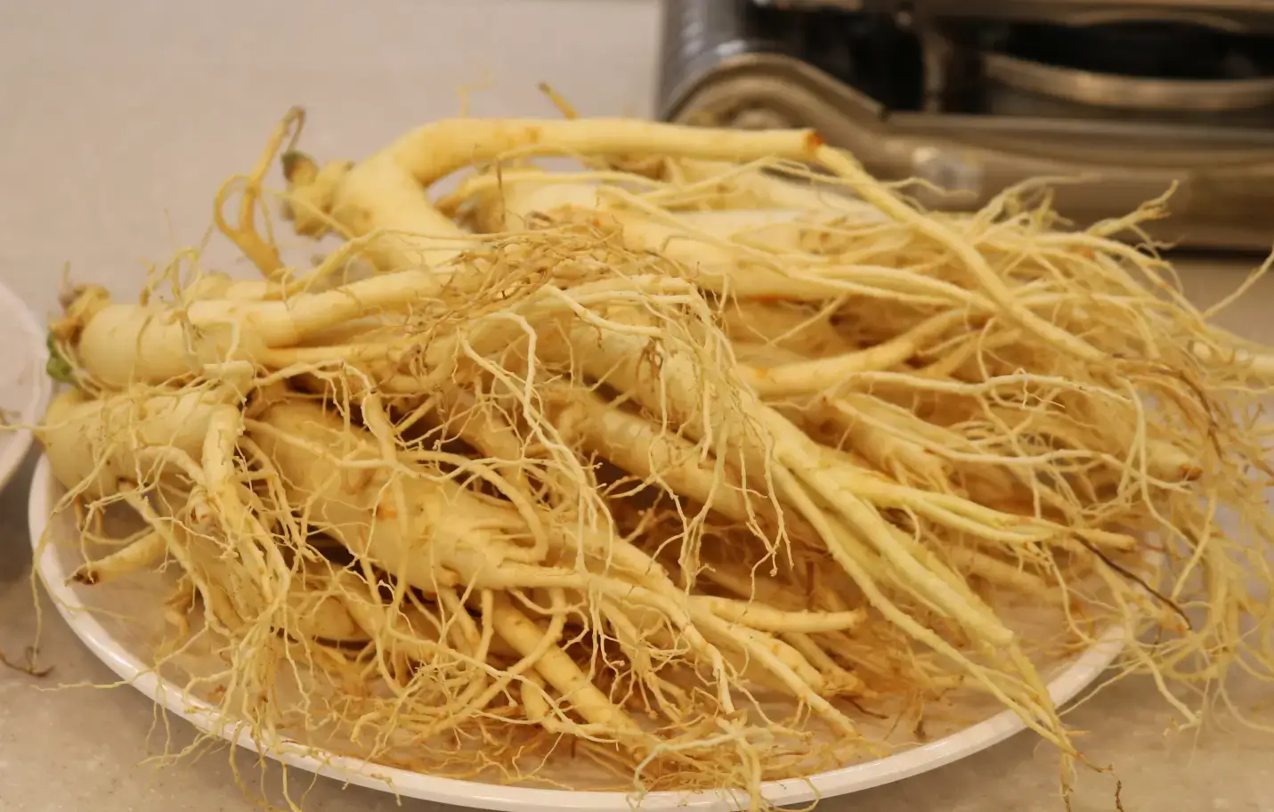 심부전증에-좋은약초-홍삼