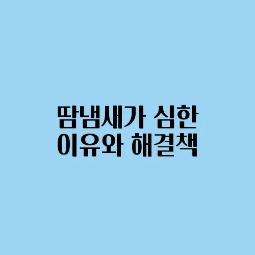 땀냄새가 심한 이유와 해결책