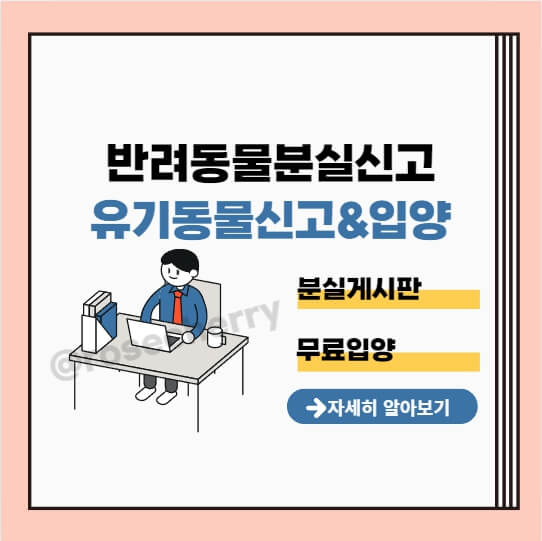 성남시-반려동물분실신고방법과-유기동물신고-무료입양-방법에-대해-안내드립니다