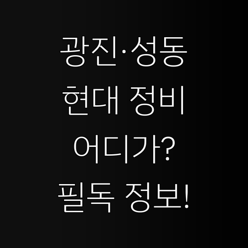 광진구 성동구 현대자동차 정비소 찾기..
