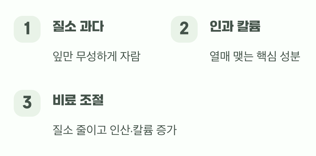 잎만 무성하게 만드는 잘못된 영양 공급