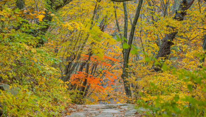설악의 품에서 만나는 천혜의 힐링 명소
