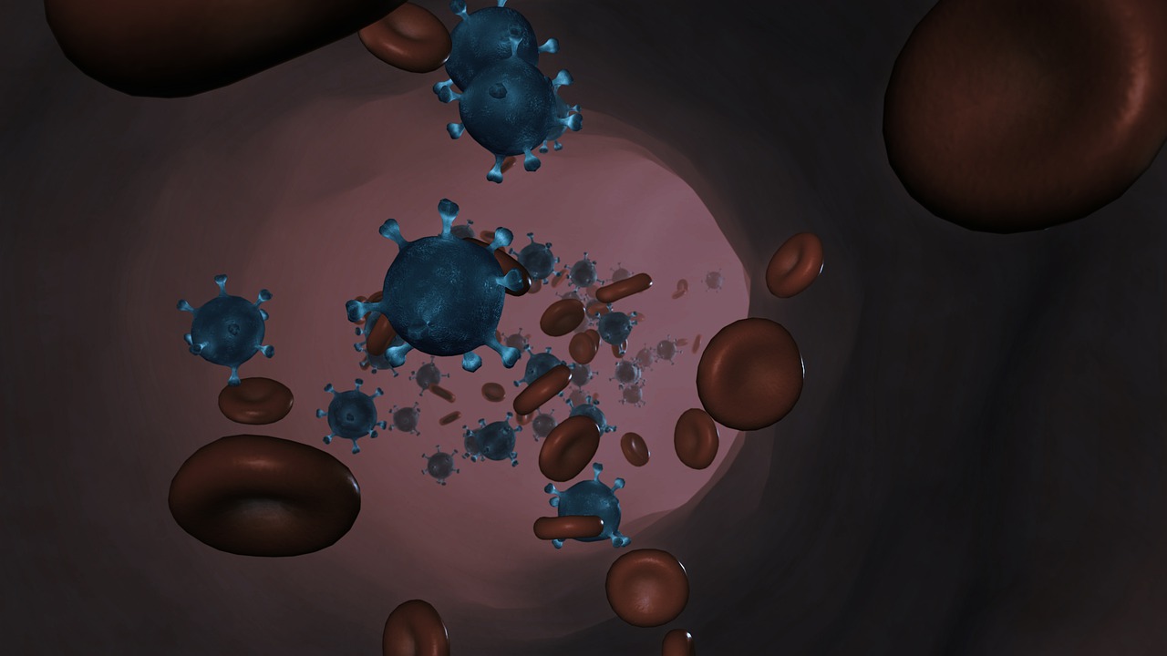 cells-red-blood-cells-corona