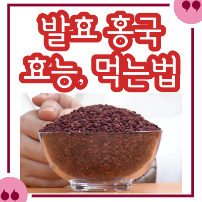 발효 홍국 효능&#44; 만드는 과정&#44; 먹는 방법 정리