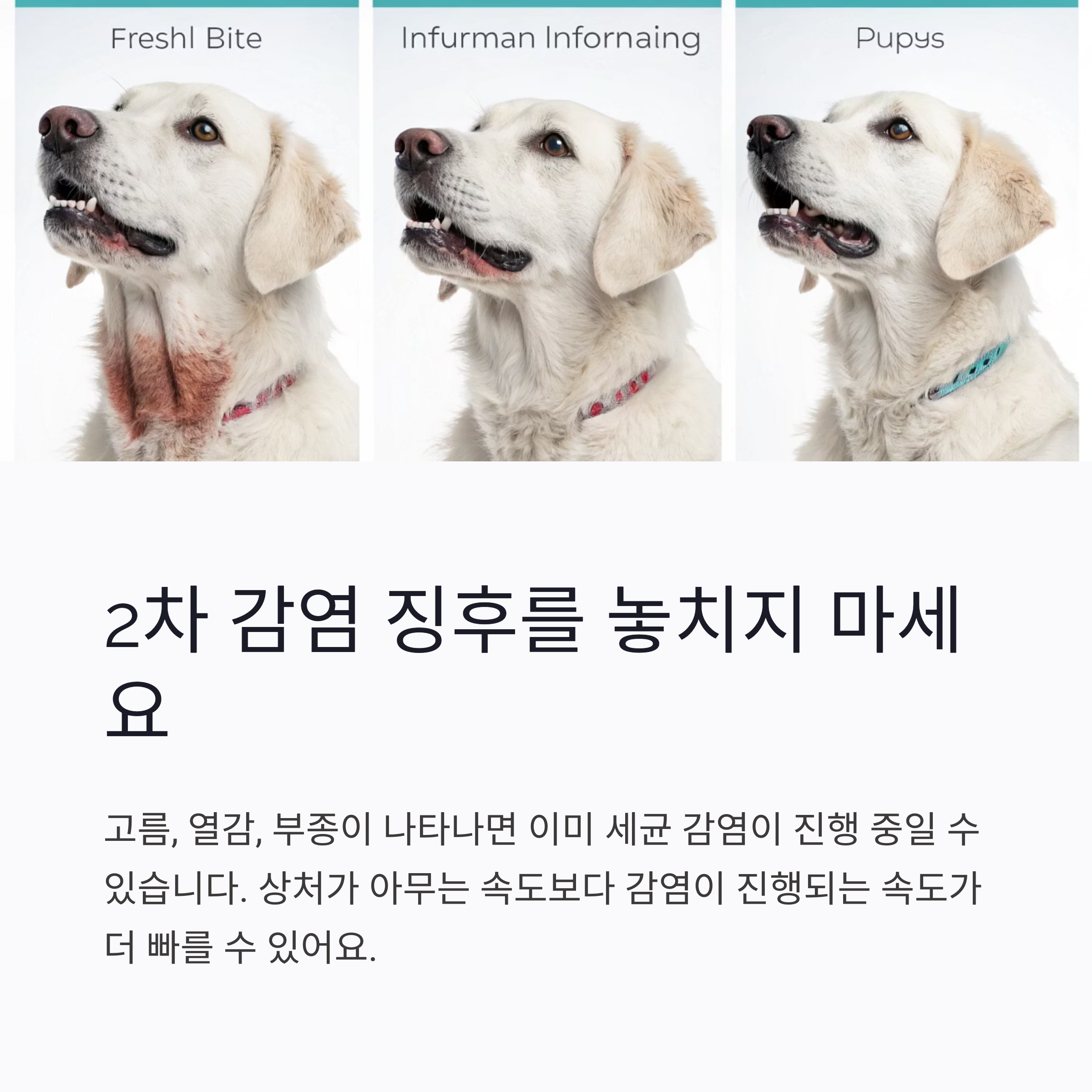 2차 감염 징후를 놓치지 마세요
