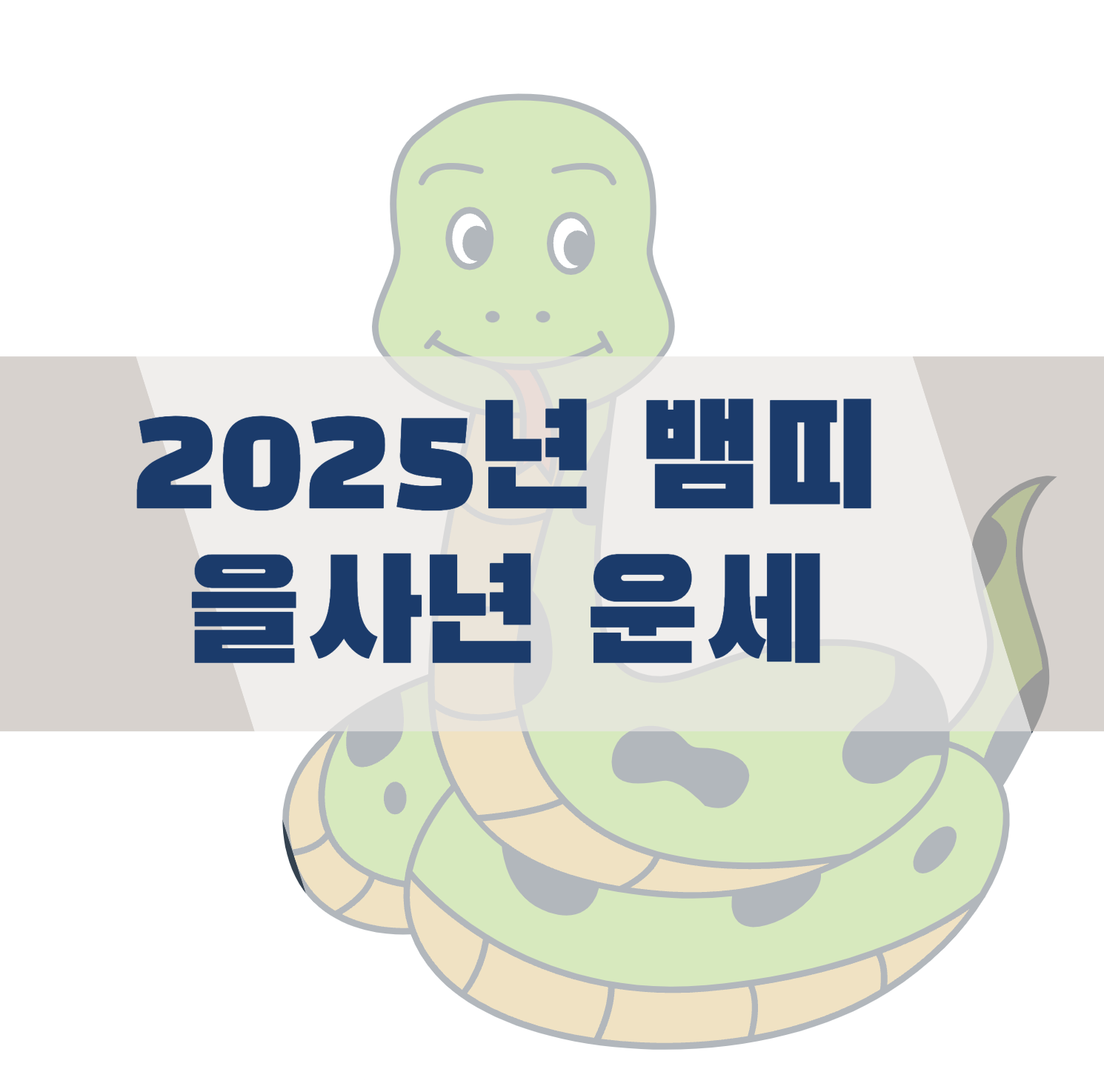 2025년 뱀띠
