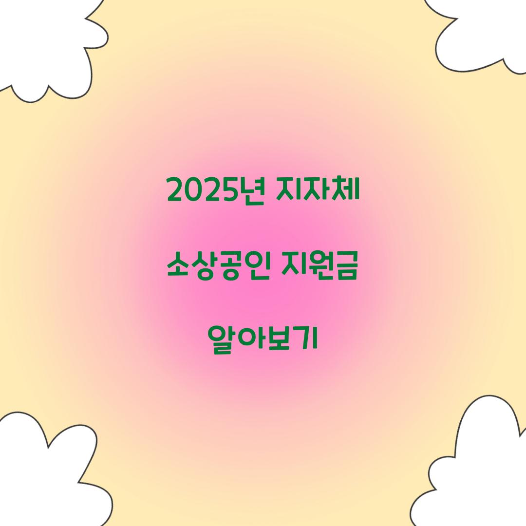 2025년 지자체 소상공인 지원금