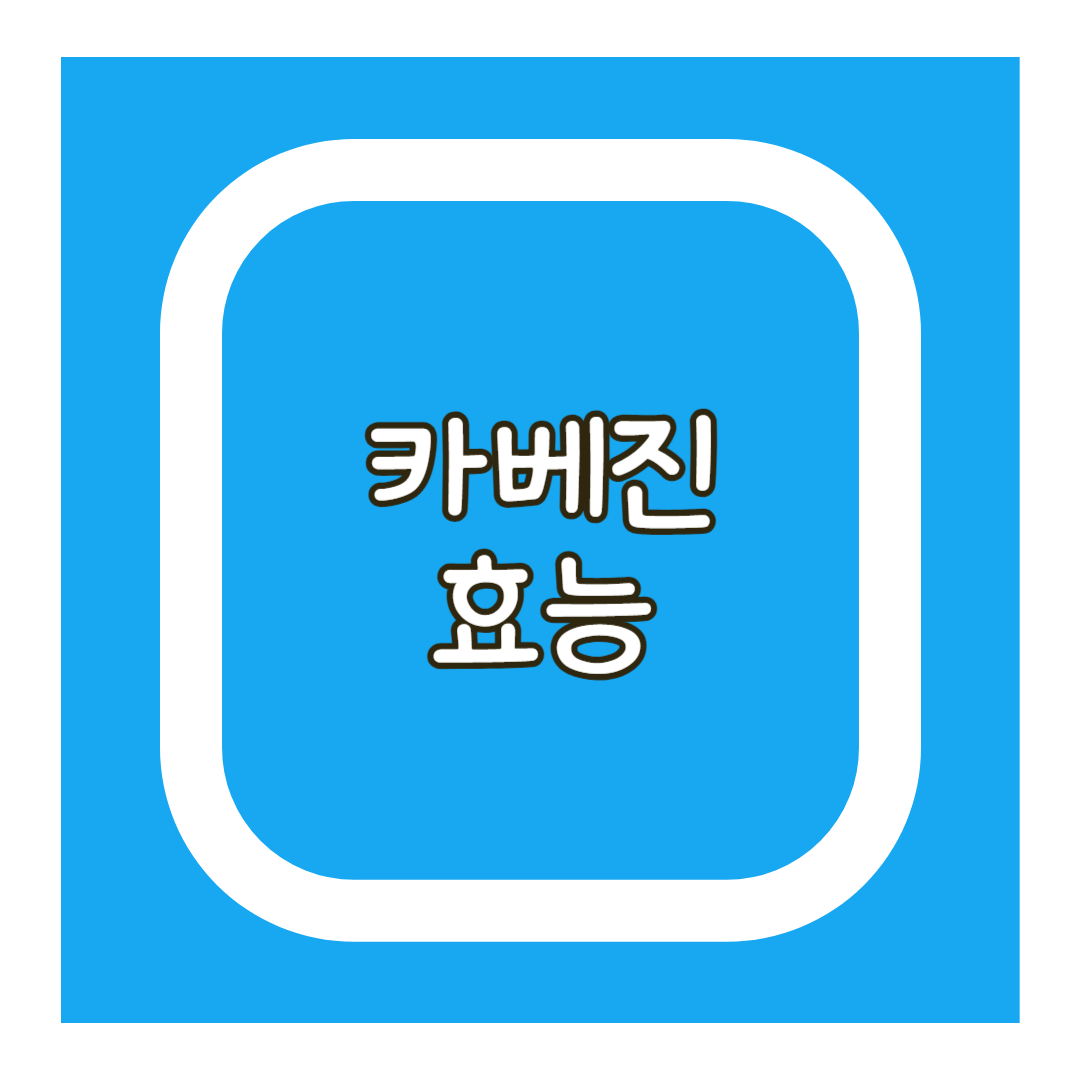 카베진 효능