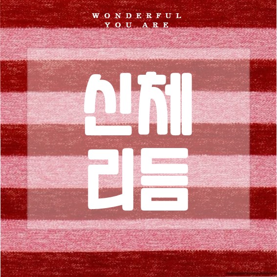 신체리듬 완벽 가이드: 건강한 삶의 시작