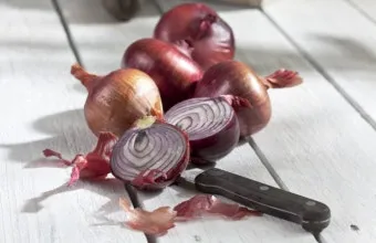 양파 먹는 방법과 양파 효능 양파 부작용 완전 가이드_18