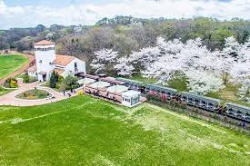 국내 가을 여행 - 에코랜드