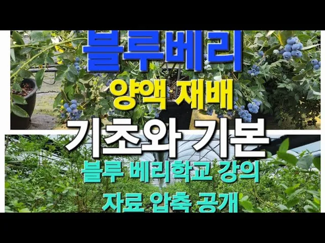 양액 재배 기초 배양액 비율 전기전도도 산도 관리_1
