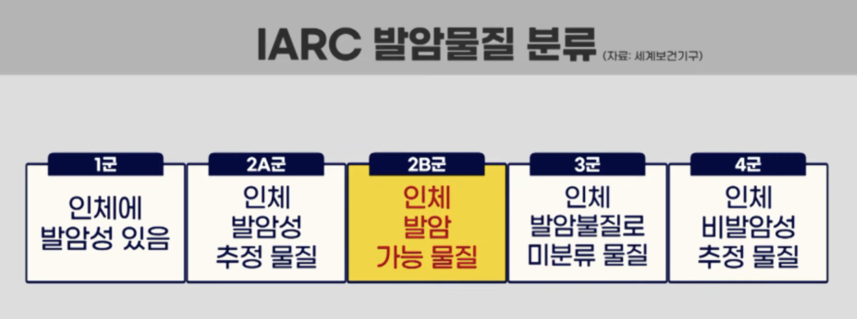 발암물질 분류