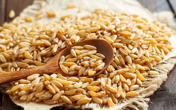 카무트 효소, 효능부터 먹는 법·부작용까지 알고 먹어야 보약