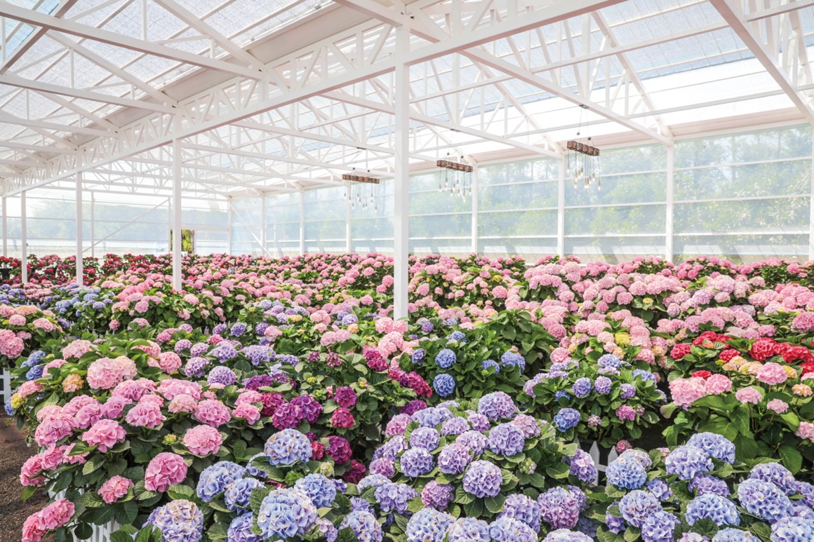 휴애리 자연생활공원 &ndash; 제주의 전통과 계절을 담다