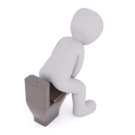 변비 해소에 좋은 과일과 섭취 방법