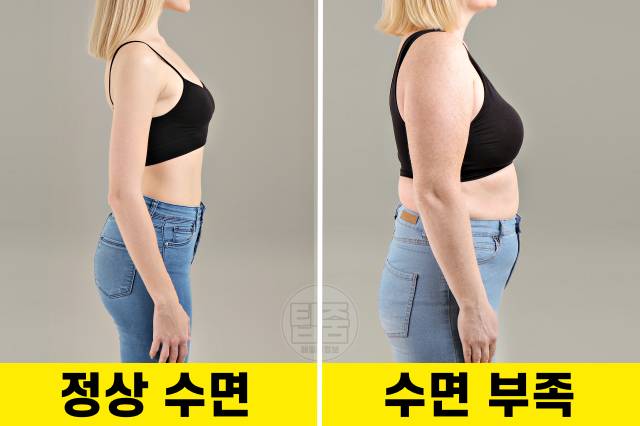 수면부족 증상 체중증가 잠잘오는법