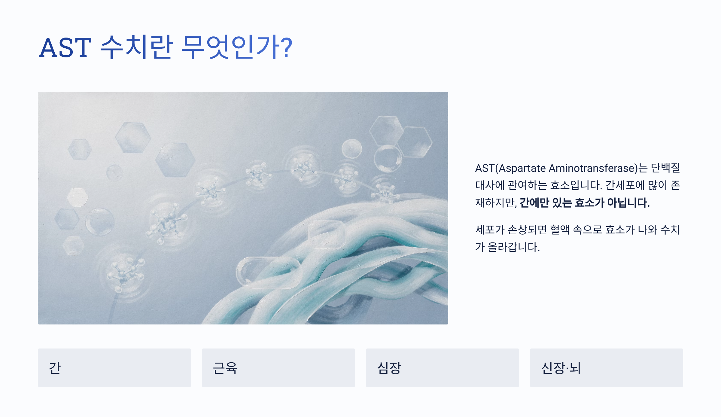 AST 수치