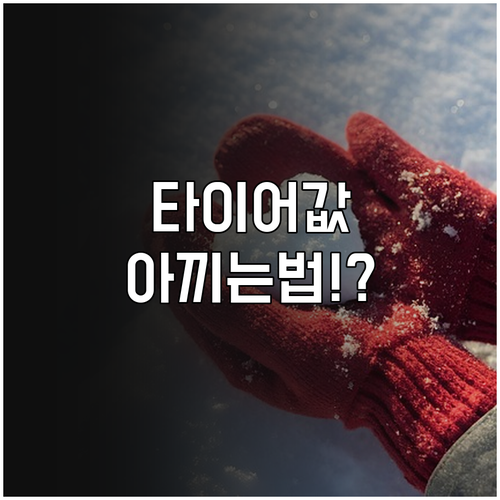 스노우 타이어 비용을 아끼는 구매와 ..