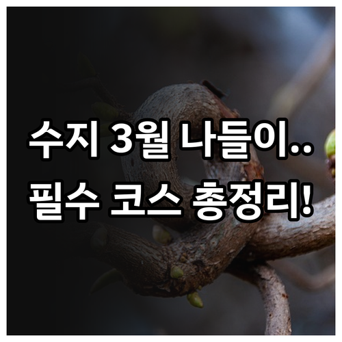 용인 수지구 3월 나들이 명소 추천 ..