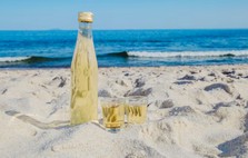 아침고요수목원