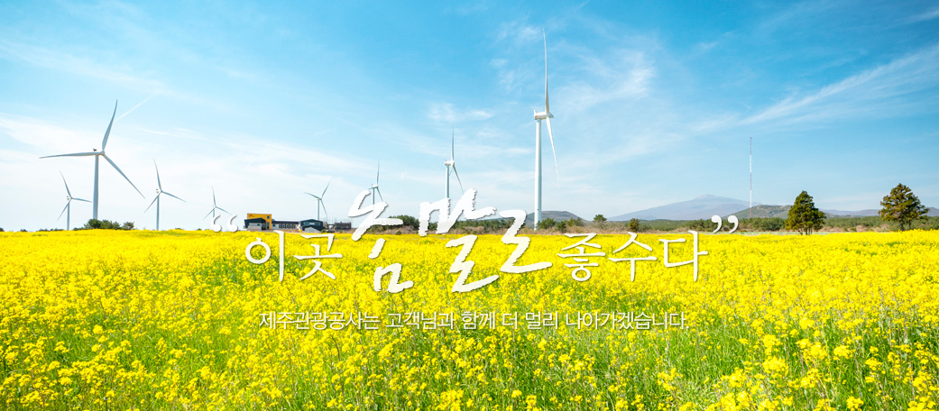 제주도 여행 할인받고 가기