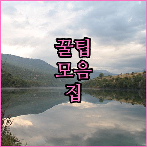 국가유공자 자녀 학비 면제? 신청 자..