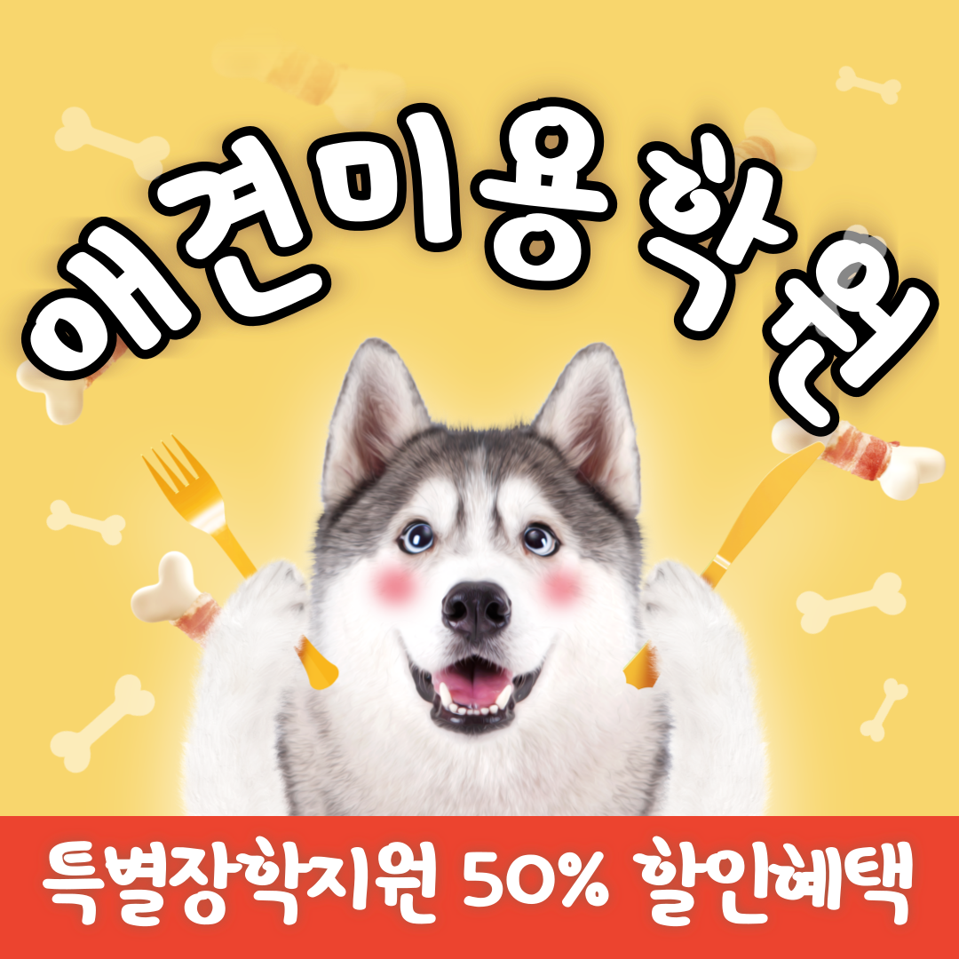 애완견미용학원