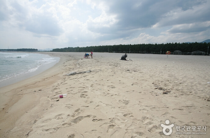 영덕 가볼만한곳 베스트 10