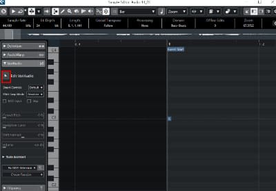 VariAudio 에디터 창