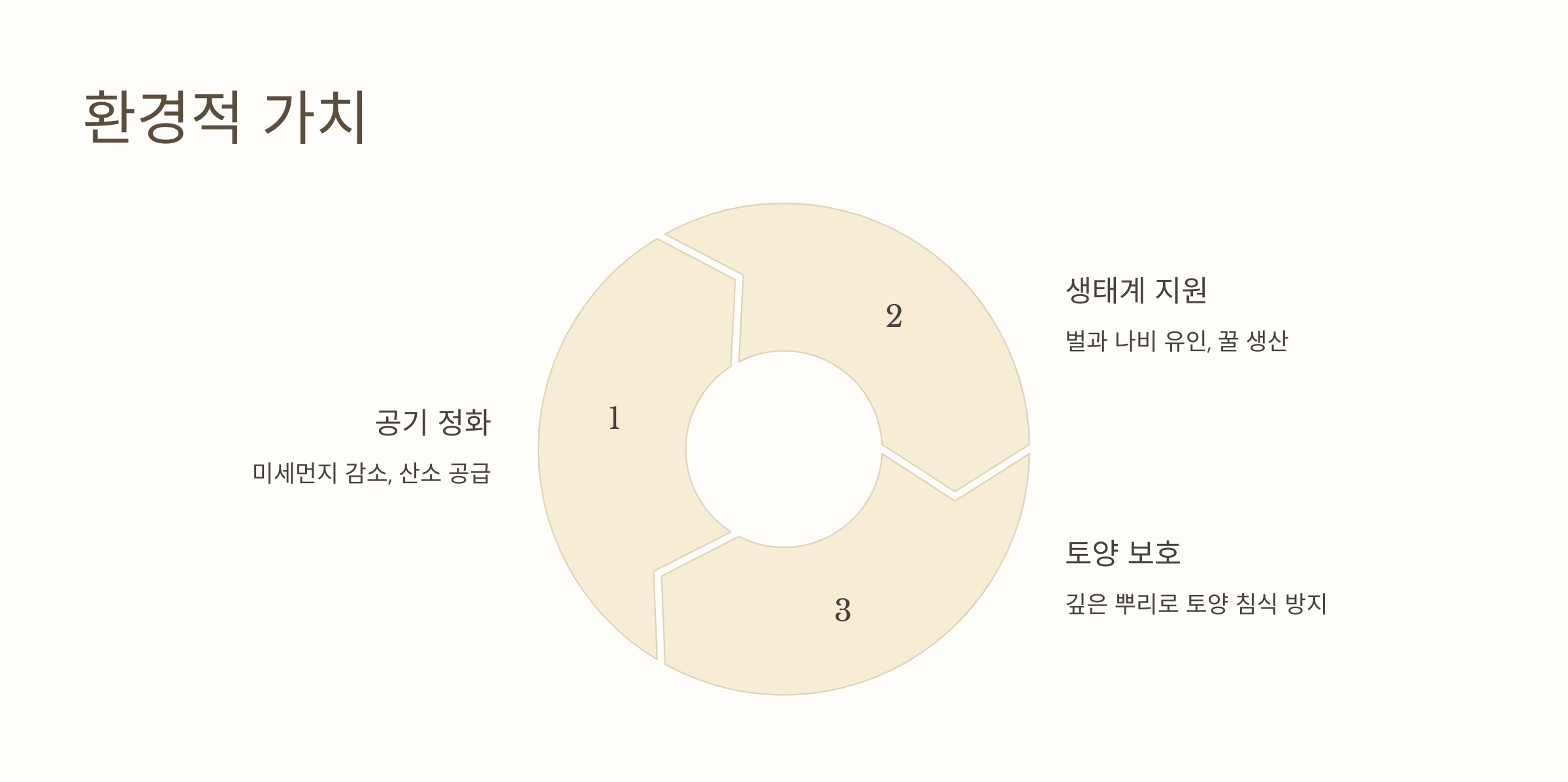 자귀나무 사진