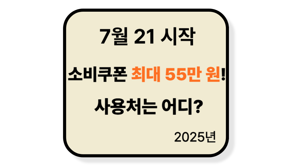 민생 회복 소비쿠폰