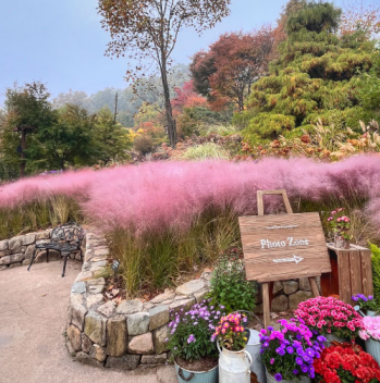 화담숲 예약방법, 단풍축제