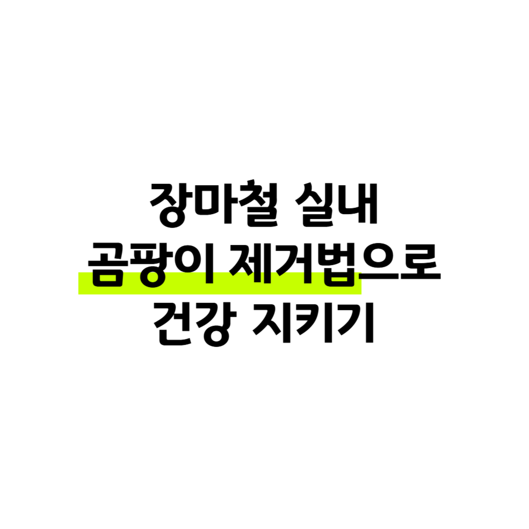 장마철 실내 곰팡이 제거법으로 건강 지키기 썸네일