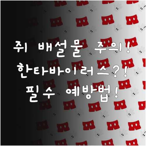 쥐 배설물 주의 한타바이러스 증상 복..