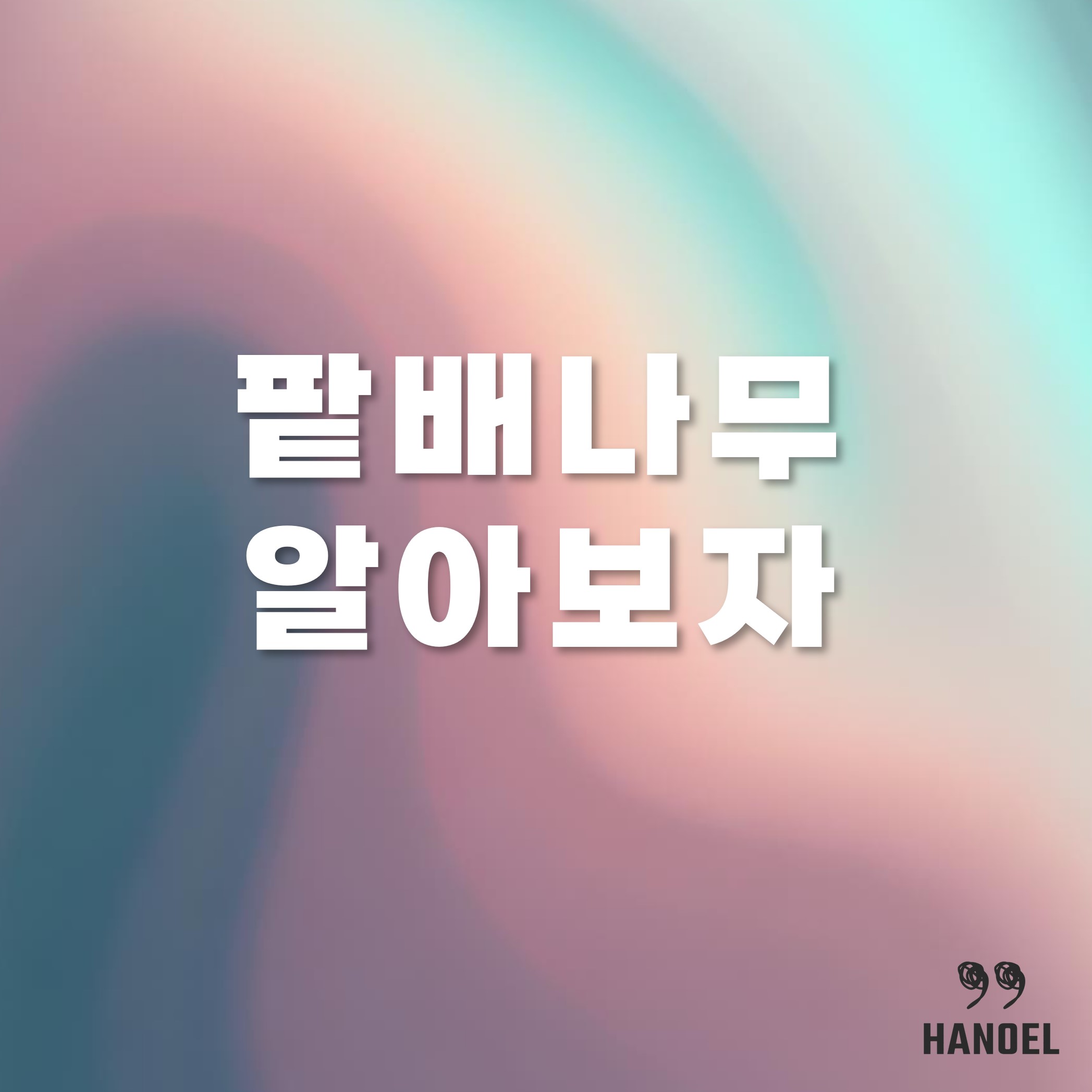 팥배나무 알아보자