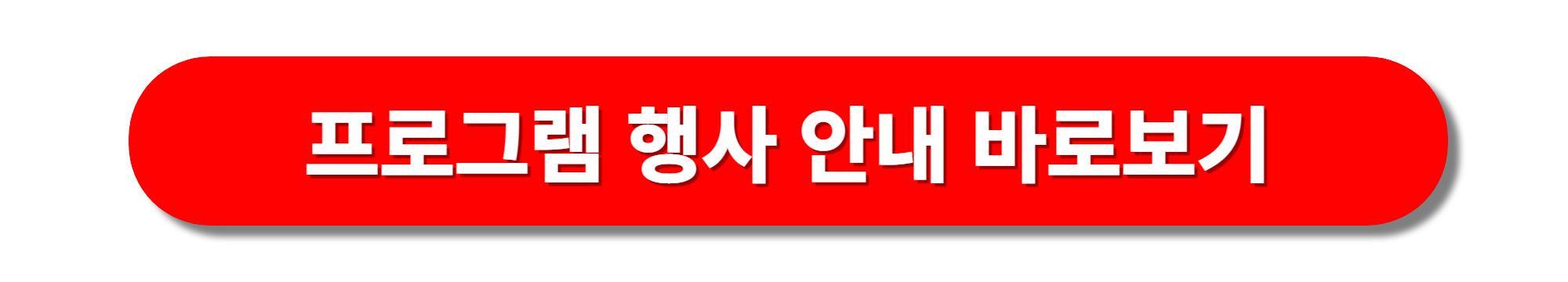 홍성 바베큐축제 프로그램행사