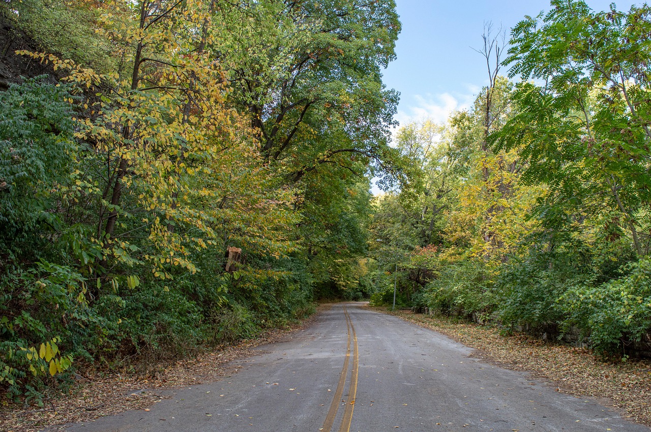 가을 드라이브 사진
