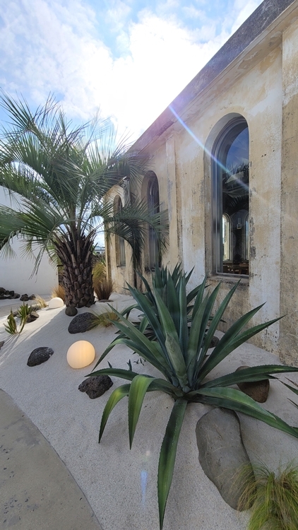 제주동쪽여행-감성카페-카페치즈태비